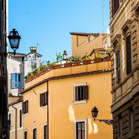 Unique Navona
